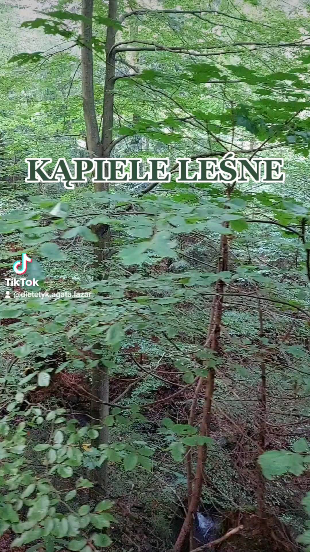 #kąpieleleśne #las #natura #naturalnaterapia #dietetyk #dietetyczka #zdroweżycie #holistycznie #holistichealth #zdrowagłowa #układnerwowy #układkrążenia #zdroweserce #długieżycie #naturalnie #drzewa #przyroda #zdrowieznatury #świadomość #zdrowie #poradydietetyka #porady